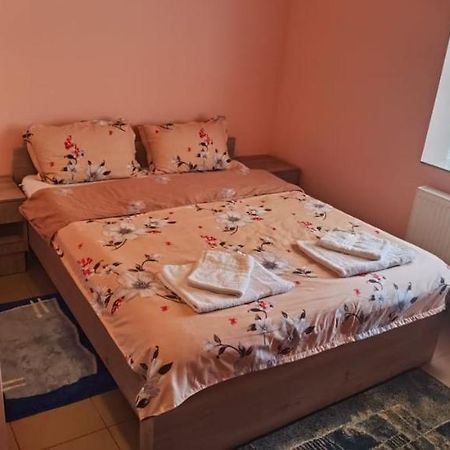 Pensiune Si Cazare La Mitza Giarmata Экстерьер фото